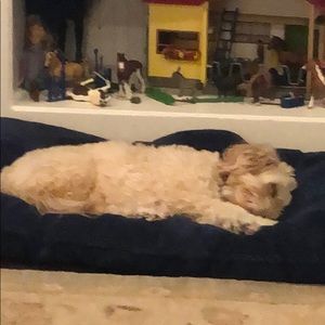 Meet your Posher, Jamie